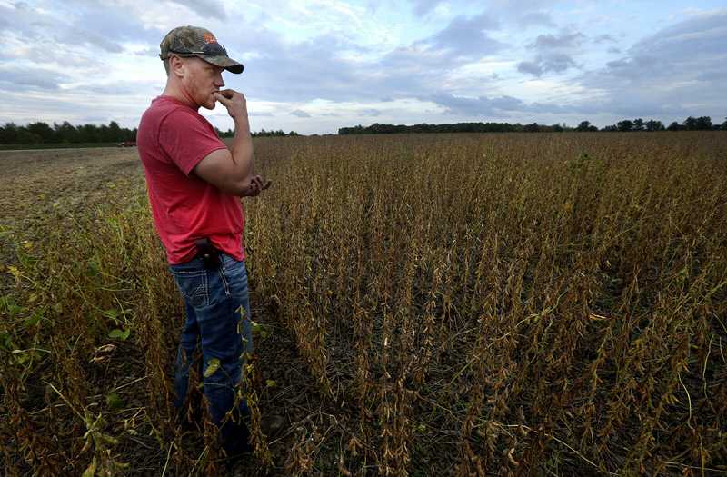 A farmer standing in the middle of a field.